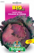 CAVOLO Verza Violaceo di Verona