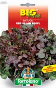 LATTUGA Red salad bowl