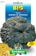 ZUCCA Marina di Chioggia