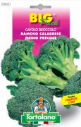 CAVOLO Broccolo ramoso Calabrese medio precoce