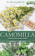 CAMOMILLA COMUNE