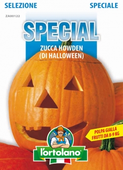 Zucca Howden (di Halloween)