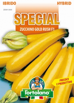 ZUCCHINO Gold Rush F1