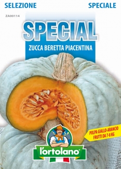 Zucca Beretta Piacentina