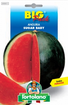 ANGURIA Sugar Baby