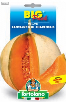 MELONE Cantalupo di Charentais