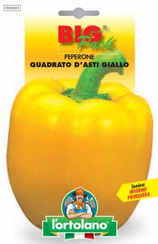 PEPERONE Quadrato d'Asti giallo