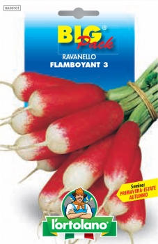 RAVANELLO Flamboyant 3