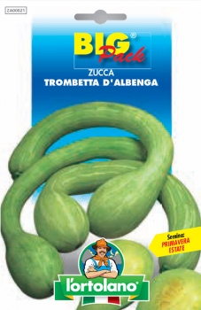 ZUCCA Trombetta d’Albenga