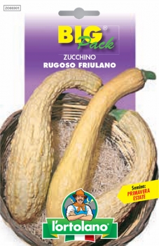 ZUCCHINO Rugoso Friulano