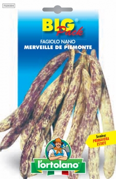 FAGIOLO nano merveille de Piemonte