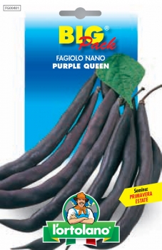 FAGIOLO nano Purple Queen
