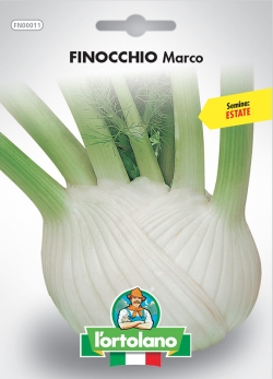 FINOCCHIO Marco