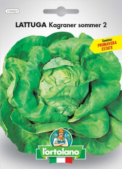 LATTUGA Kagraner Sommer 2