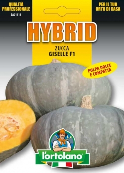ZUCCA Giselle F1