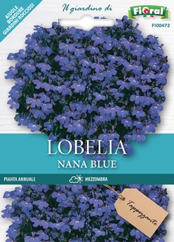 LOBELIA NANA BLUE