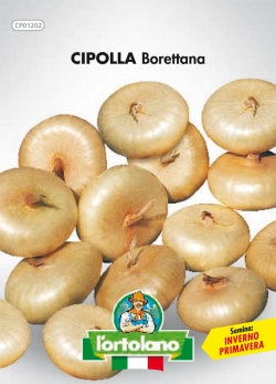CIPOLLA Borettana