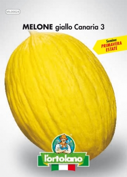 MELONE giallo Canaria 3