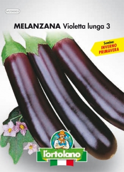 MELANZANA Violetta lunga 3