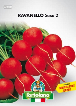 RAVANELLO Saxa 2