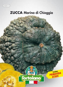 ZUCCA Marina di Chioggia