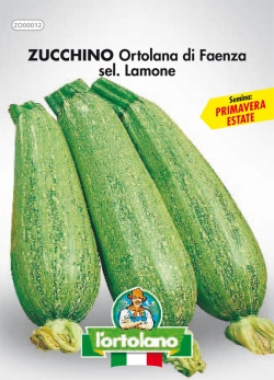 ZUCCHINO Ortolana di Faenza sel. Lamone