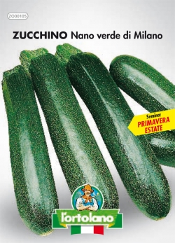ZUCCHINO Nano verde di Milano
