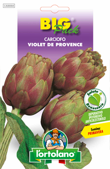 CARCIOFO Violet de Provence