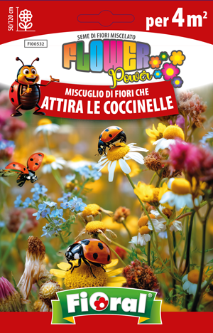 Immagine prodotto MISCUGLIO DI FIORI CHE ATTIRA LE COCCINELLE