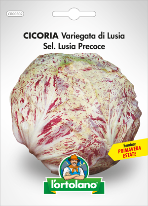 Immagine prodotto CICORIA VARIEGATA DI LUSIA SEL. LUSIA PRECOCE