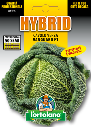 Immagine prodotto CAVOLO VERZA VANGUARD F1