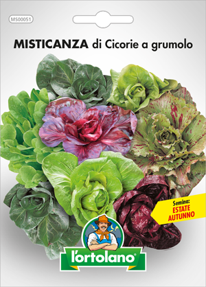 Immagine prodotto MISTICANZA DI CICORIE A GRUMOLO