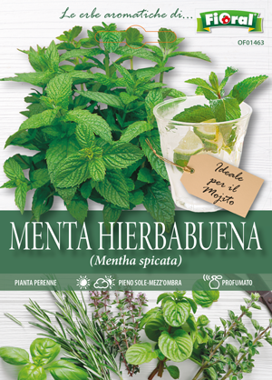Immagine prodotto MENTA HIERBABUENA