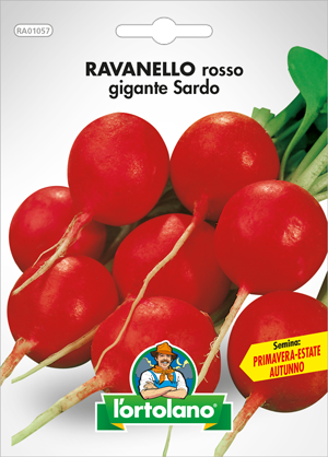 Immagine prodotto RAVANELLO ROSSO GIGANTE SARDO O GIGANTE SICULO