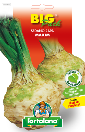 Immagine prodotto SEDANO RAPA MAXIM